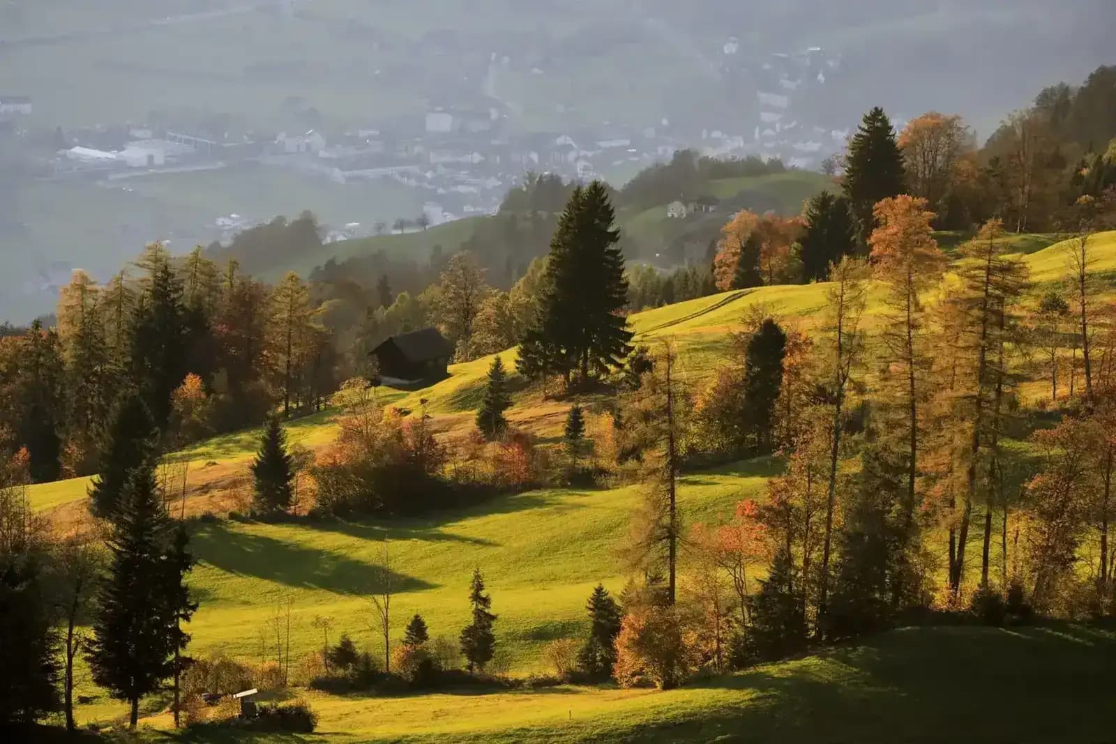 VTT dans les Vosges
