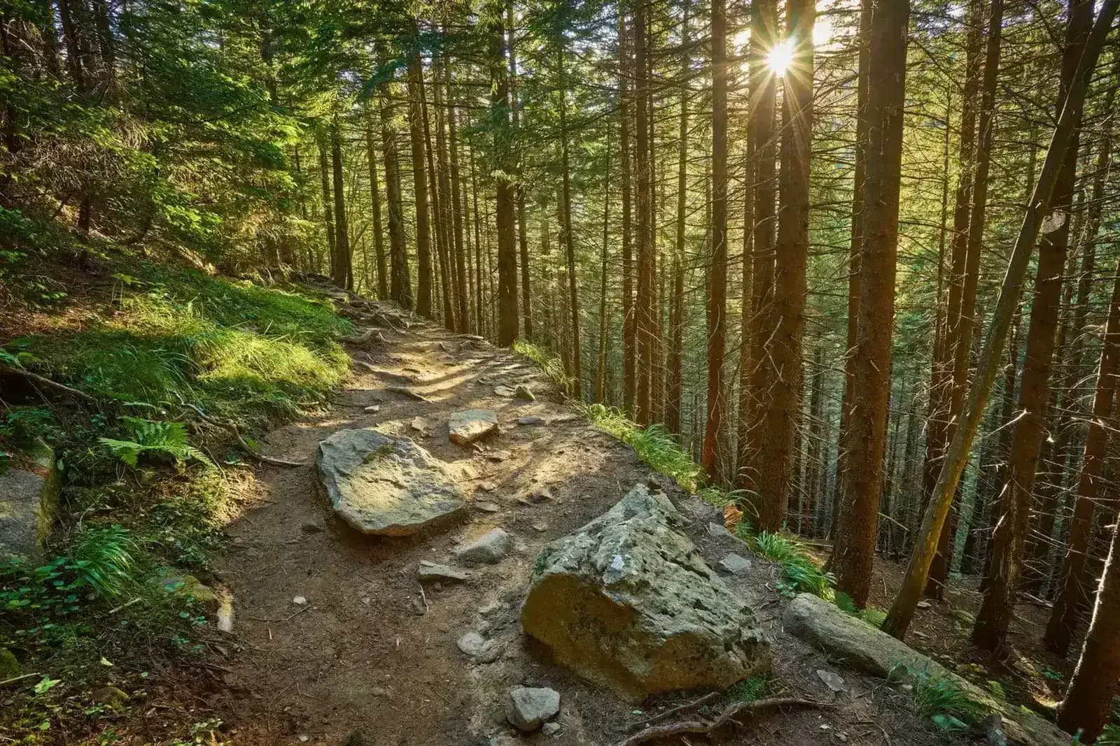 VTT électrique dans les Vosges 2